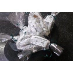 Sachet de 10 carabibis